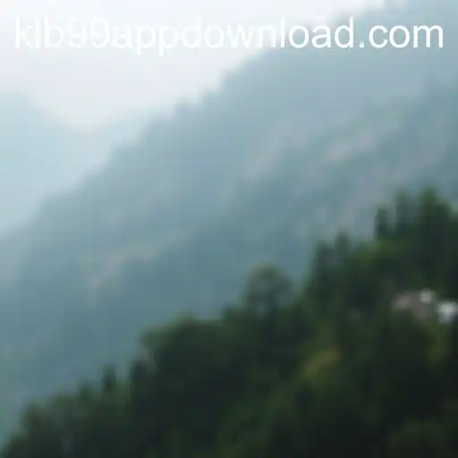 Exploring the User Agreement at KLB99.COM